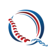 Credit System logo